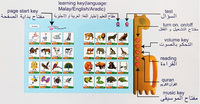 Tablette d'apprentissage du Coran islamique musulman Jouet musical Mots Touchpad Voice Ebook pour enfants Malais Anglais Arabe Livre sonore