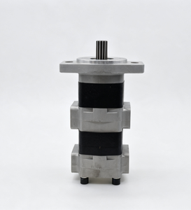 Pompe hydraulique à engrenages tandem à triple section série SDB SDB36.27L938 SDB36.36F9H1-R687 en fonte 5 CV 250 bars 36 cm³/<span class=keywords><strong>rev</strong></span> <span class=keywords><strong>1</strong></span> an de garantie - Product Image 3