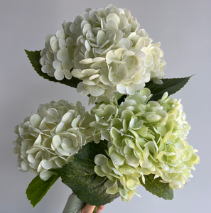 M206 <span class=keywords><strong>Fiori</strong></span> di Ortensia Artificiali in Lattice di Alta Qualità, Effetto Realistico, Bianchi <span class=keywords><strong>e</strong></span> Verdi, per Decorazioni Matrimoniali - Product Image 1