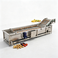 Energiebesparende 304 roestvrijstalen luchtbel fruit- en groentewasmachine voor spinazie, selderij en verse bladgroenten.