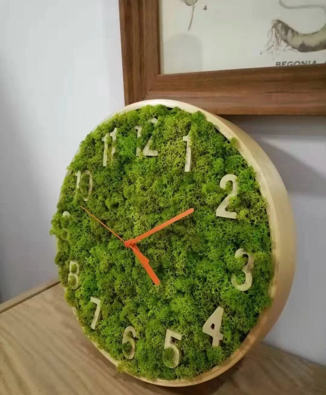 Decorazione murale muschio