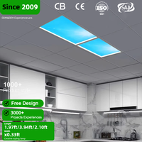 Dengbei Wang LED panneau de lucarne plafond intelligent 2800-9000K lumière artificielle du ciel ciel clair et bleu profond 2X4ft grand design