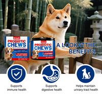 Friandises à Mâcher Probiotiques pour Chiens, Approvisionnement Direct Usine, 200g, Absorption Rapide, Soutien Sûr à la Santé Digestive, Renforce l'Immunité, Complément Alimentaire pour Animaux de Compagnie