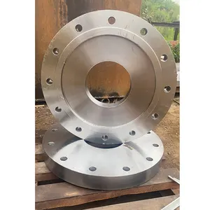 Fabricante vender alta pressão personalizado 304 aço carbono flange irregular forjado flange de forma especial