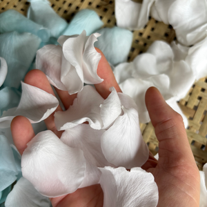 Pétales de rose séchés et préservés de qualité supérieure, 100 % naturels, pour décoration de mariage ou artisanat DIY - Product Image 2