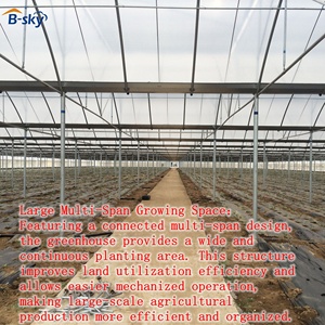 Soluzione per Serre Agricole per Produzione Alimentare Commerciale e Agribusiness Tutto l'Anno - Product Image 2