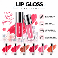 Gloss à lèvres rafraîchissant RTS 6ml avec applicateur en alliage de zinc, haute brillance, 6 teintes, faible MOQ 3 pièces, vente en gros, logo personnalisé