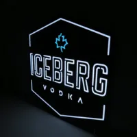 Enseignes lumineuses LED néon en acrylique au design moderne pour bar