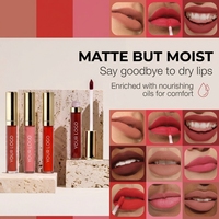 Rouge à lèvres liquide mat personnalisable à faible MOQ, végétalien, marque privée, imperméable, longue tenue, gloss à lèvres liquide sur mesure