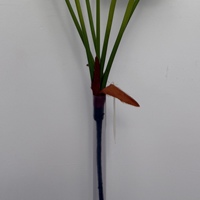 Fleur artificielle Oiseau de paradis, 7 têtes, simulation florale, décoration pour la maison, bouquet de mariage, centre de table