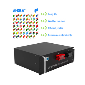 Batterie lithium de haute qualité montée sur rack 51,2V 48V 200Ah 300Ah 24V 100Ah pour système d'énergie solaire domestique 5kW 10kW - Product Image 2