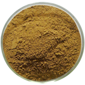 Fabriekslevering 100% Gezondheidsondersteuning Natuurlijke Organische <span class=keywords><strong>Yerba</strong></span> <span class=keywords><strong>Mate</strong></span> Thee <span class=keywords><strong>Extract</strong></span> 4:1 10:1 Water Polyfenolen Poeder Gratis Monster Trommel - Product Image 3