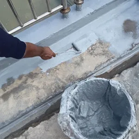 Revêtement imperméable acrylique hautement élastique résistant aux fissures, revêtement imperméable élastomère pour toiture et mur