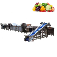 Complete automatische fruit- en groenteverwerkingslijn voor diepvries aardbeien, bosbessen, frambozen met wassen, sorteren en IQF