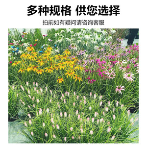 Flores Artificiales, Plantas en Maceta Mixtas, 80cm 90cm de Altura, Simulación Realista, Decoración para el Hogar, Accesorios para Bodas - Product Image 3