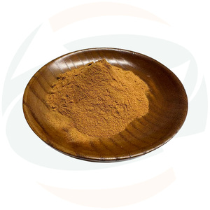 Extrait de Phyllanthus Emblica 10:1 en poudre, produit phare de China-Herb - Product Image 3