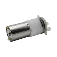 Tekanan Tinggi Micro DC Breshless 6V 12V 24V Mini Pompa Air untuk Dijual