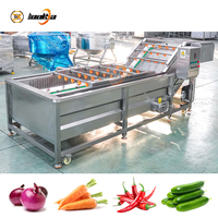 Industriële fruit- en groentewasmachine, wassingapparatuur voor wortelen, uien en paprika's, wortelen- en komkommerwasser