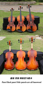 Violín Profesional 4/4 Hecho a Mano con Tapa de Arce Brillante, Cuerdas de Aleación, Estuche de Espuma y Palisandro - Modelo Más Vendido a Precio Mayorista - Product Image 3