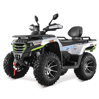 Tao Motor 2023 Nouveau Design Buggy Tout-Terrain Adulte Quad VTT 300cc