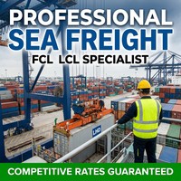 Agent de transport maritime, expédition de fret, logistique, prix DDU DDP porte à porte, États-Unis, Canada, Australie, Espagne, Mexique, Allemagne