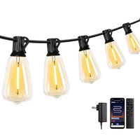 Guirlandes lumineuses LED personnalisées 24V IP44 en PVC, ampoules PET incassables longue durée, solutions d'éclairage extérieur à économie d'énergie