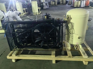 Hengda-2041 15kw Oil-Free Piston Machine 2.4m3/min 30 <b>Bars</b> Air-<b>Cooled</b> Portable for Blowing Water - Product Image 2