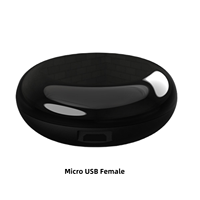 Boîtier de télécommande en plastique ABS Wifi Smart Home Control Émetteur-récepteur infrarouge IoT Coque USB en plastique avec micro USB femelle