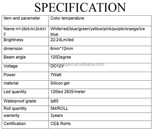 3-year Warranty Silicone Ip67 8W/m DC12V 7X13 RGB LED Neon Light Strip for Neon Signs & Landscape Decoration - Product Image 4