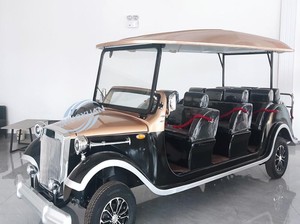 Carro eléctrico turístico para 4 personas, disponible para fabricantes de equipo original (OEM), con opción de voltaje múltiple, para atracciones turísticas. - Product Image 2