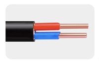 Cable de Alimentación con Aislamiento XLPE de Doble Núcleo de Cobre YJV-2*25mm² con Revestimiento de PVC