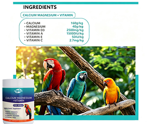 Poudre de calcium et de magnésium de qualité supérieure pour oiseaux, marque privée OEM, pour la force des os et des plumes éclatantes - Product Image 2