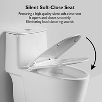 WC monobloc en céramique à double chasse, hauteur confort ADA, forme allongée, pour salle de bain moderne, articles sanitaires, vente en gros