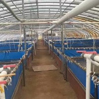 Grande ferme avicole maison arche Tunnel serre système d'isolation refroidissement serre maison tente pour poulet vache chèvre élevage