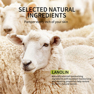 <span class=keywords><strong>Baume</strong></span> à l'huile de lanoline Crème extra hydratante Apaisant rapide Hydratant pour tout le corps Ultra Réparateur Hydratation non grasse Soins de la peau du visage - Product Image 3