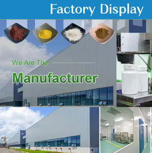 Suplemento de cápsulas nootrópicas L-teanina, Alpha GPC y Bacopa Monnieri para concentración de enfoque y mejora de la memoria - Product Image 6