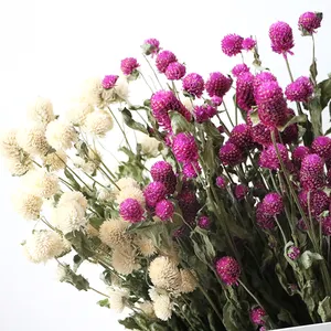 Fiori decorativi decorazione di cerimonia nuziale fleurs sechees cesto di bambù fiori secchi naturali gomphrena secco globosa