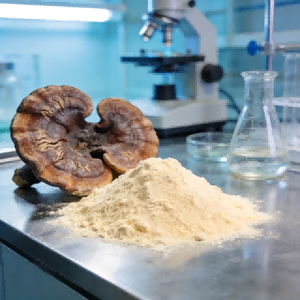Cyclodextrine : Assemblage Supramoléculaire pour un Effet Mat Naturel et un Contrôle Durable du Sébum – Matière Première Cosmétique - Product Image 4