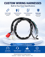 Câble de Harnais PVC Personnalisé OEM ODM avec Conducteur en Cuivre Pur, Adaptateur Connecteur, Fabrication selon Vos Dessins, Conforme RoHS, IP44 pour