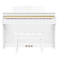 Piano numérique TERENCE E50, 88 touches, action marteau, piano droit lesté avec touches de piano standard
