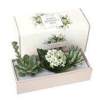 Boîte de papier d'emballage de plante cadeau vide personnalisée pour plantes succulentes