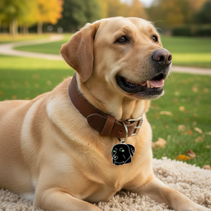 Medaglietta identificativa per cani Labrador in smalto nero, placcata argento - Product Image 3