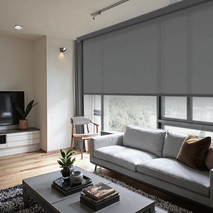 Smart Home Outdoor Motorized Double Layer Fabric Roller <strong>Blinds</strong> with <strong>Blackout</strong> and Windproof Features for French Windows - Product Image 4