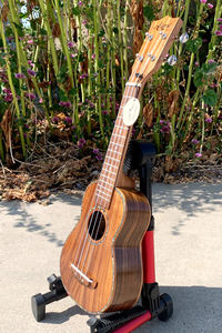 <span class=keywords><strong>Ukulele</strong></span> Koa Pili Koko Brand Deluxe Interamente in Legno di Koa in Versione <span class=keywords><strong>Soprano</strong></span> e Concerto - Product Image 2