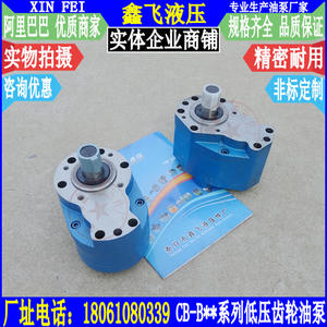 XCB-B40 XTCB-B50 TXCB-B63 Hydraulics <b>Lubrication</b> Pumps Low-Pressure Gear Oil Station Pumps - Product Image 1