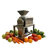 Industriële fruitverwerkingsinstallaties automatische tomaten- en mangopureermachine met enkele/dubbele kanaal fruitpulper