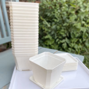 Grande jardinière carrée en plastique de style coréen épaissie pour succulentes cactus vieille souche affiche de fleurs plantes potagères utilisation plancher - Product Image 6