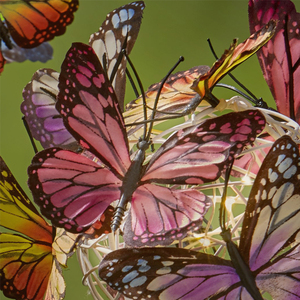 Lampes solaires LED papillon romantiques de conception nouvelle 2025, étanches IP65, pour la décoration extérieure du jardin et de la <span class=keywords><strong>terrasse</strong></span> - Product Image 3