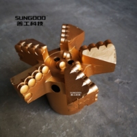 Usine 7 pouces 177mm 5 lames Concave PDC Bits PDC Drag Bit PDC Blade Bit pour le forage de puits