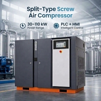 Compresseur d'air à vis stationnaire haute efficacité Umwair 30 kW 8 bars, type split, pour atelier de machines à bois